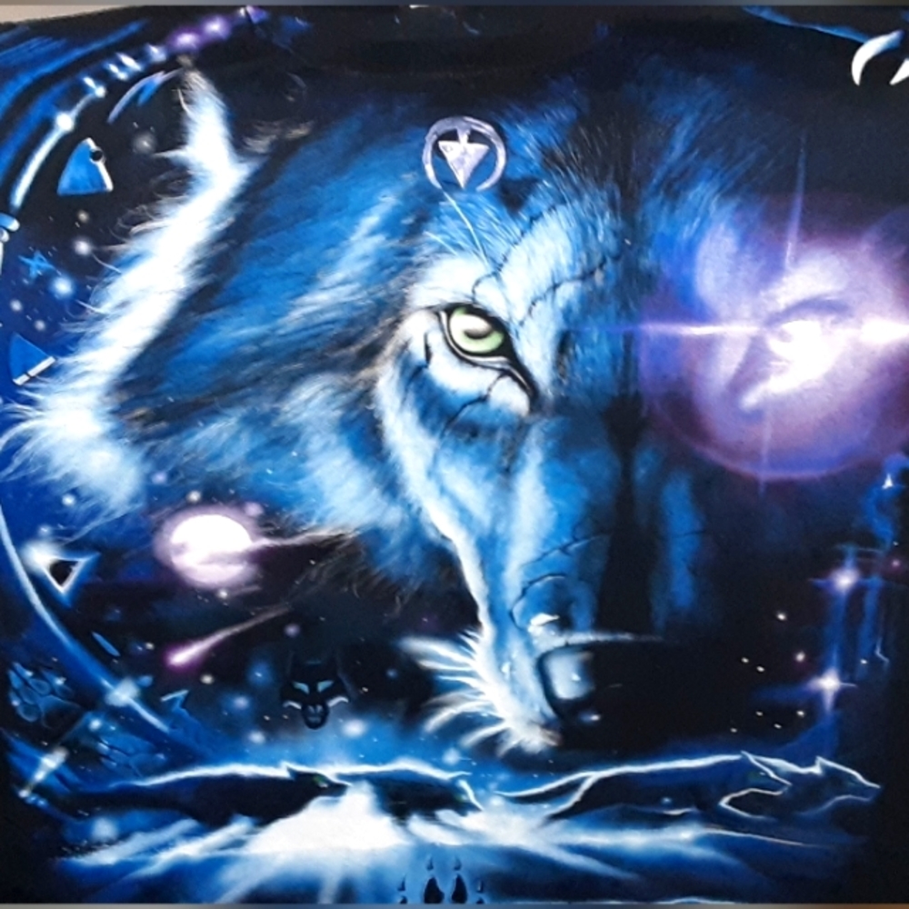 Vintage 2001 wolf/raven tshirt,Liquid Blue,XL,Not PREOWNED